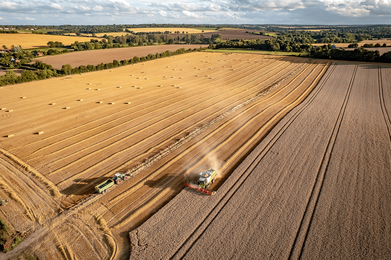 harvest-fields-2023-11-27-05-34-54-utc